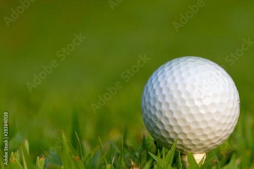 golf ball on tee, green out of focus background with negative space left of the golf ball.