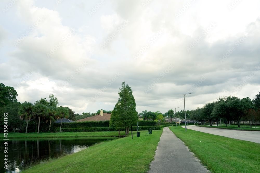 Beautiful tropical tree leaf in spring