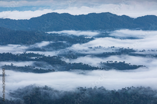 Landscape sea of mist on high mountain in Phitsanulok province, Thailand.