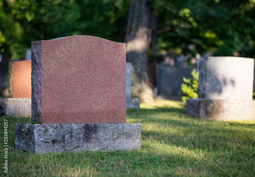 Blank Red Tombstone in Graveyard