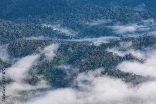 Landscape sea of mist on high mountain in Phitsanulok province, Thailand. © Nakornthai