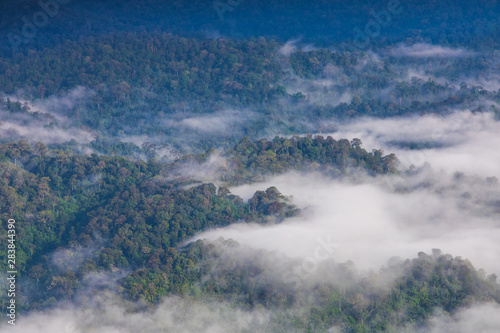Landscape sea of mist on high mountain in Phitsanulok province, Thailand.