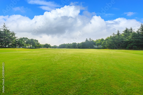Green grass and blue sky with white clouds in summer season