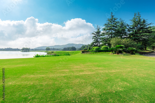 Fototapeta Naklejka Na Ścianę i Meble -  Green grass and blue sky with white clouds in summer season