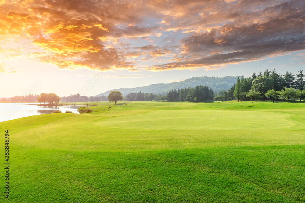 Green grass and forest with beautiful clouds at sunset Green grass and forest with beautiful clouds at sunset