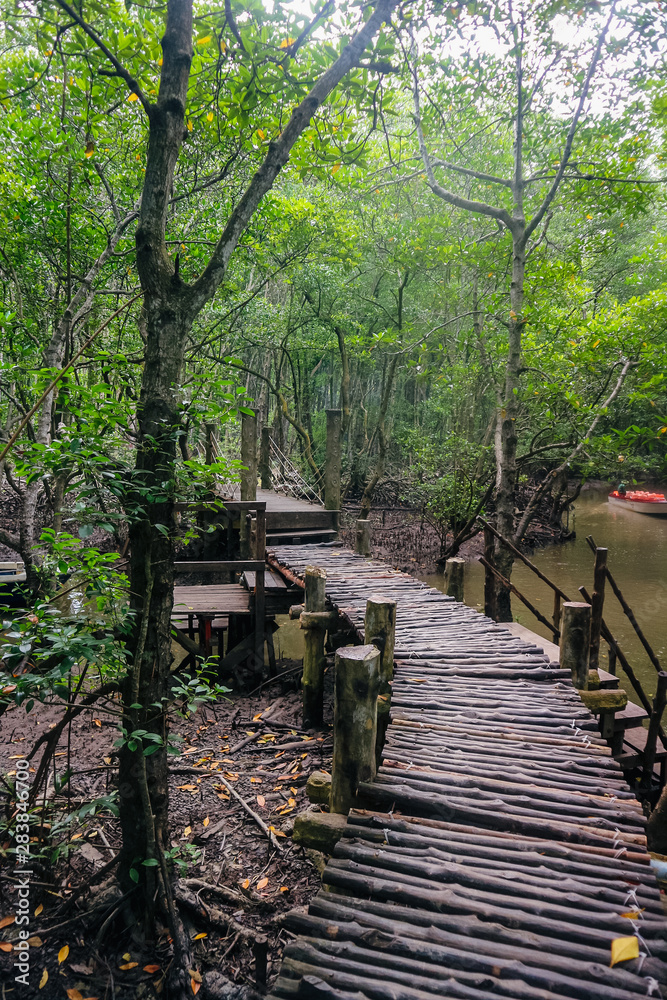 wooden bridge in Mangrove forest in Can Gio Island Vietnam wooden bridge in Mangrove forest in Can Gio Island Vietnam