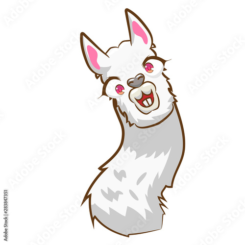llama vector graphic clipart design
