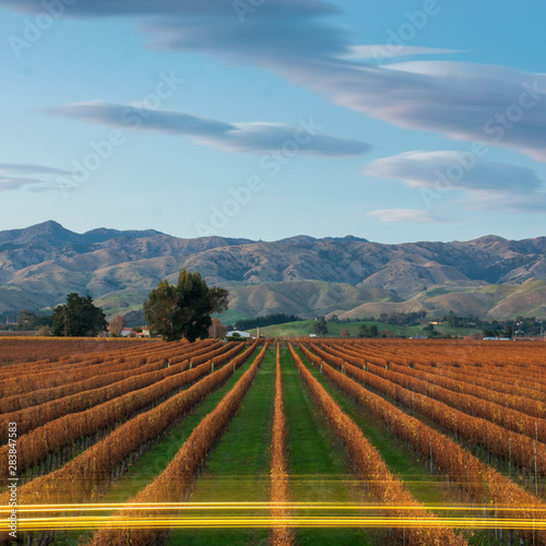 Sunrise over Marlborough