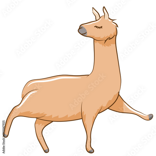 llama vector graphic clipart design