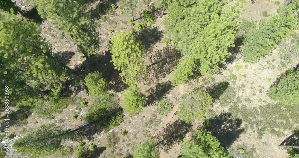 Mountain Biking Aerial Overhead View Above Bikers Riding Through Forest