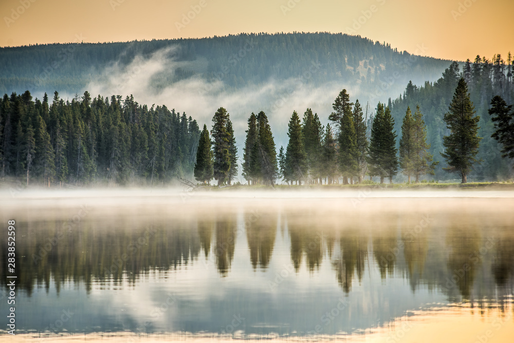 Pine Trees Reflect on Misty Yellowstone River - 1