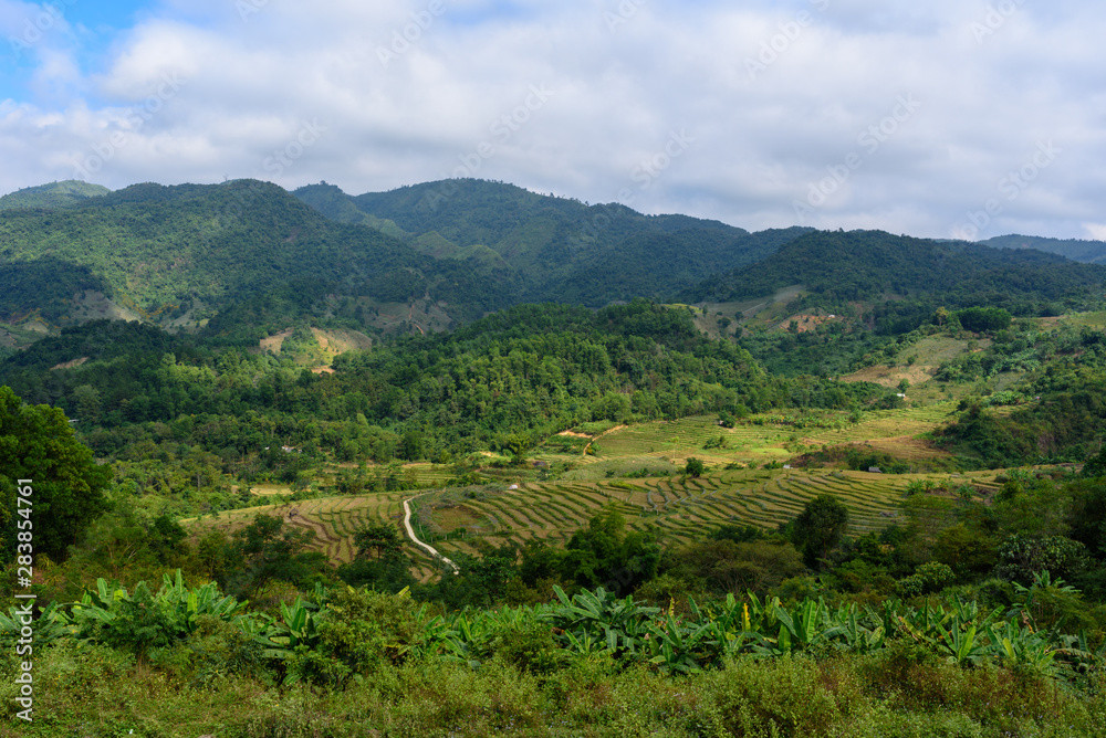 Vue des montagnes du Nord Vietnam et de rizières ainsi que d'une route