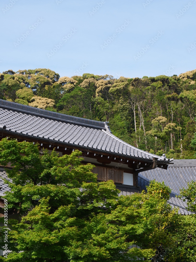 Fototapeta premium Fushimi Inari Schrein Japanischer Tempel 