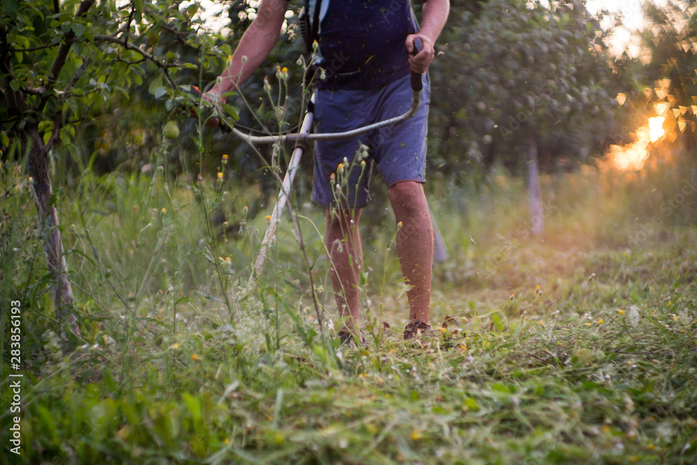 Worker mowing green grass with a trimming machine Worker mowing green grass with a trimming machine