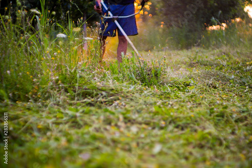 Worker mowing green grass with a trimming machine
