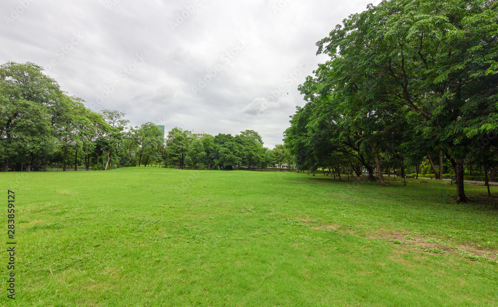 The grass field and the trees in the park are bright green. The grass field and the trees in the park are bright green.