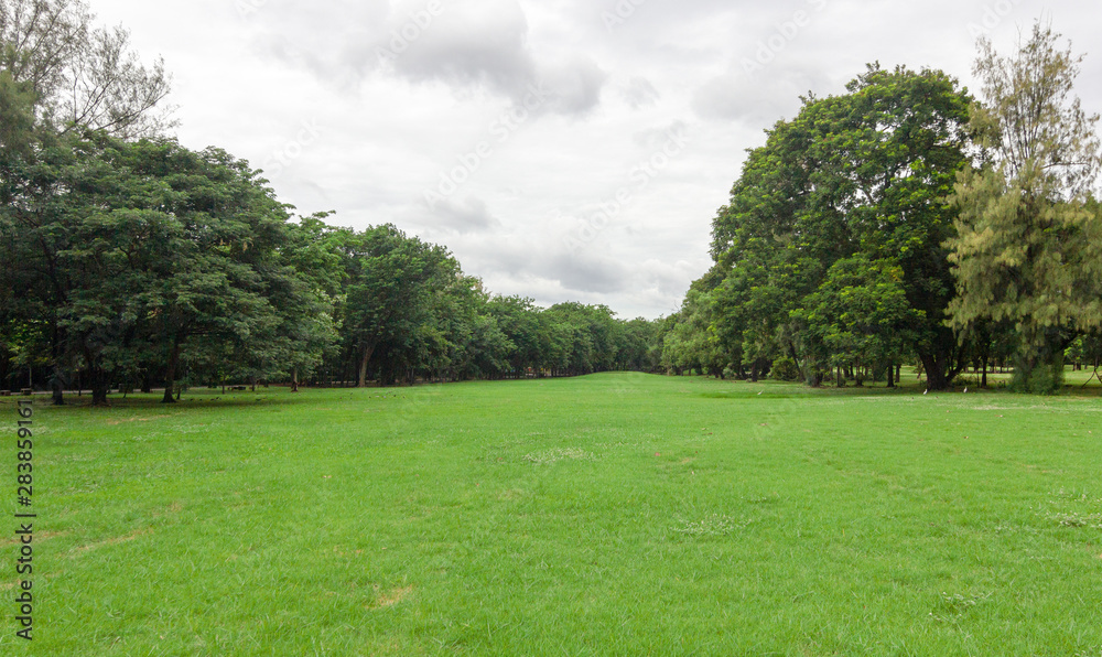 The grass field and the trees in the park are bright green.