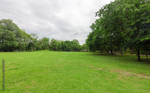 Fototapeta Naklejka Na Ścianę i Meble -  The grass field and the trees in the park are bright green.