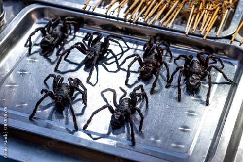 Photography Amazing street food Roasted fried insects, scorpions, spider, centipede and bugs