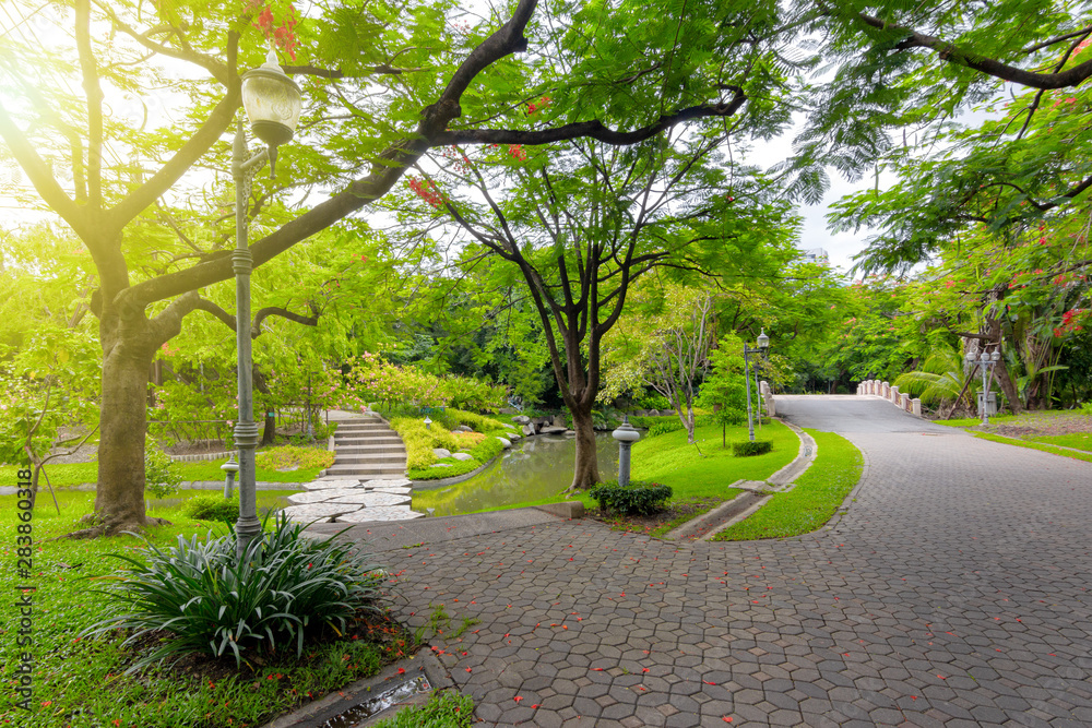 Fototapeta premium Garden walkways surrounded by green trees