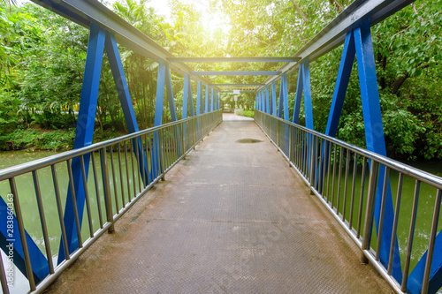 Fototapeta Naklejka Na Ścianę i Meble -  Bridge in the garden path surrounded by nature