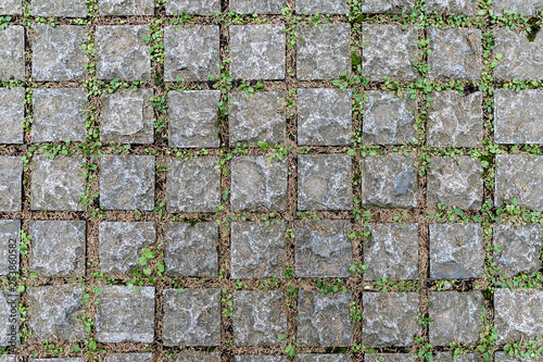 Close up Background and texture of floor made from cement blocks and between the joints has a green grass.