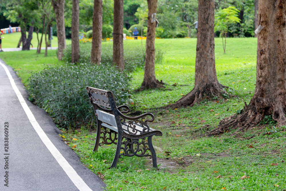 The bench in the garden resting in the middle of the green nature The bench in the garden resting in the middle of the green nature