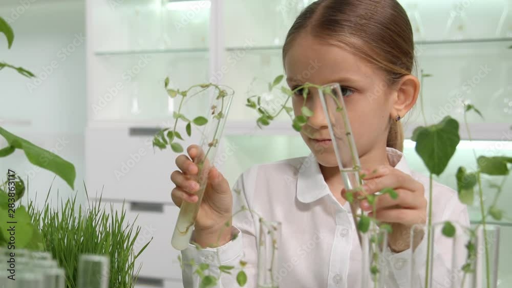 Child in Chemistry Lab, School Science Growing Seedling Plants Biology Class Child in Chemistry Lab, School Science Growing Seedling Plants Biology Class