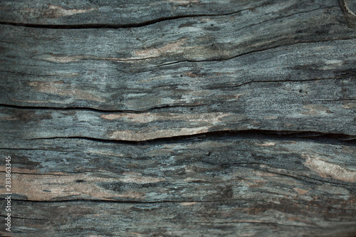 Texture of the old vintage wooden board