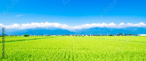 夏の田園風景　安曇野　ワイド