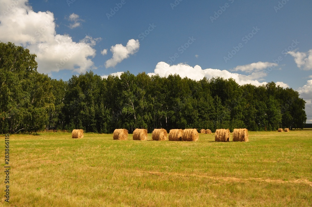 landscape with bales of hay
