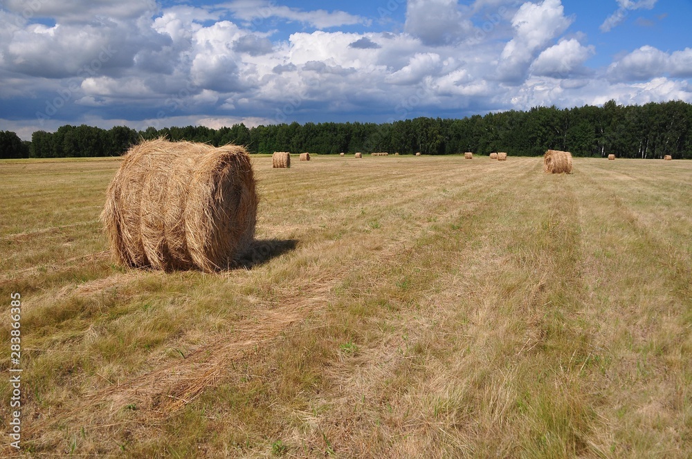 bales of hay