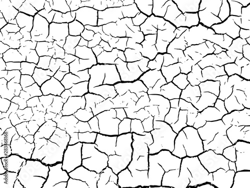 The cracks texture white and black. Vector background.Cracked earth. Structure of cracking. Cracks in dry surface soil texture. shards