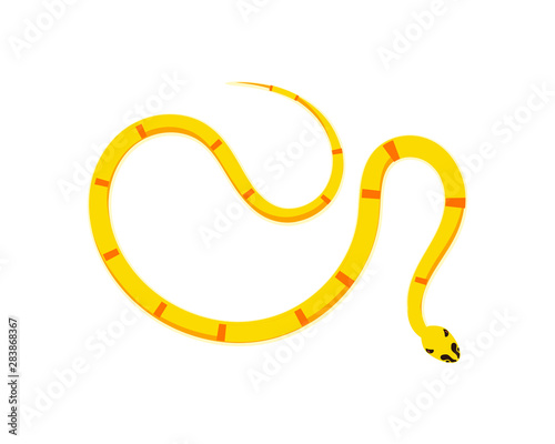 Snake Isolated on White Background, Great for book education, tattoo, sticker and design element! 