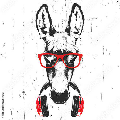 Portrait of Donkey with glasses and headphones. Hand-drawn illustration. T-shirt design. Vector