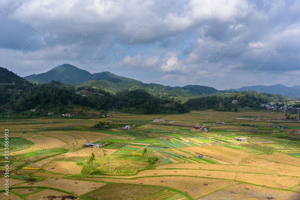 Paysages du nord Vietnam avec des rizières