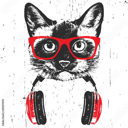 Portrait of  Siamese Cat with glasses and headphones. Hand-drawn illustration. T-shirt design. Vector