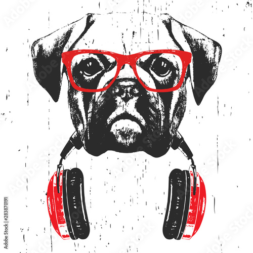 Portrait of Boxer with glasses and headphones. Hand-drawn illustration. T-shirt design. Vector