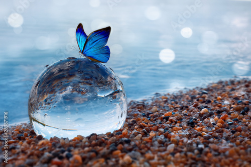 Butterfly on a glass ball on the beach refecting the lake and sky photo