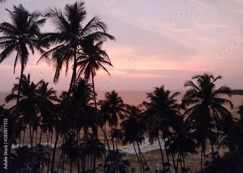 sunset on the beach © tushar