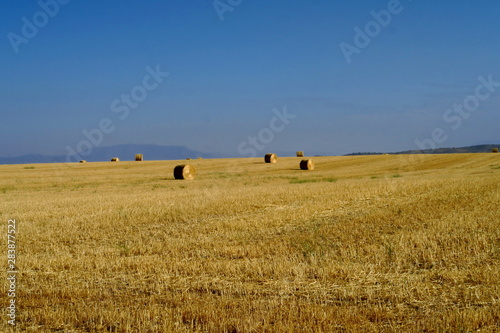 Fotografie Meules de foin dans la campagne