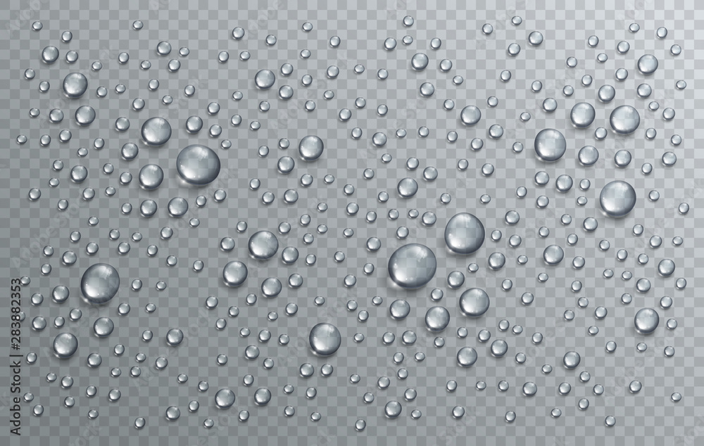 Water rain drops or condensation in shower realistic transparent 3d vector composition over transparency checker grid, easy to put over any background or use droplets separately.