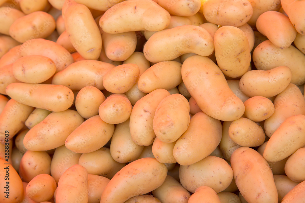 Potato Background on Market Potato Background on Market
