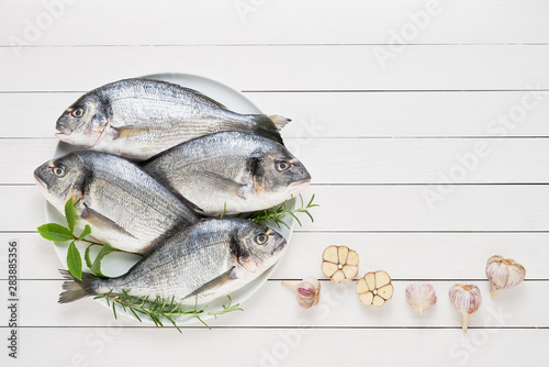 Four Fresh Royal Dorades on dish on white wooden background. Healthy food concept. Top view, copy space. Mediterranean seafood concept photo