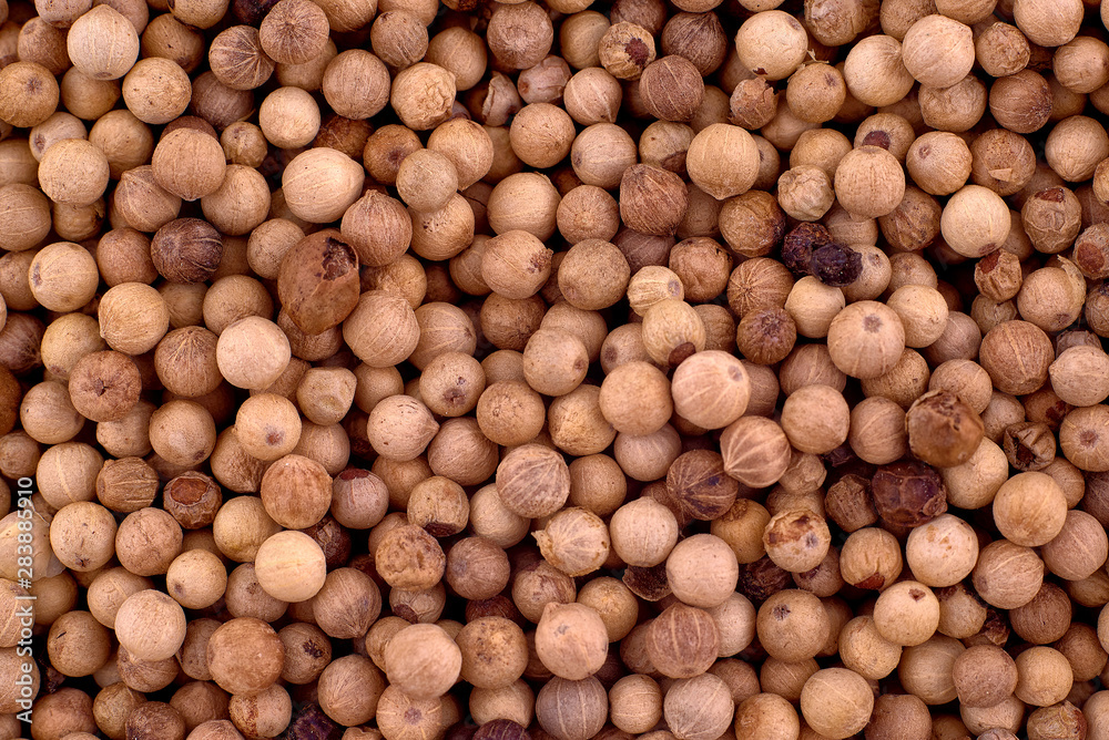 White pepper peas background texture, copy space, close up. Top view, flat lay White pepper peas background texture, copy space, close up. Top view, flat lay