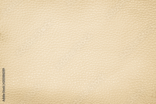 Abstract Beige Leather Texture used as luxury classic background or upholstery pattern sofa furniture, Leather dyeing industry product export for the country. Clean painted wall for publication. © Phokin