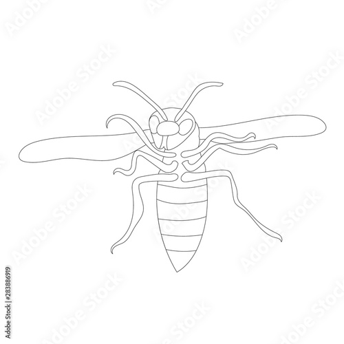 isolated, sketch with lines of wasp, bee