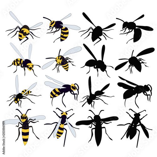 wasp, bee, insect, set, collection