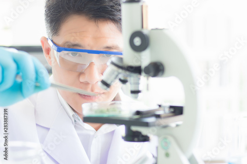 An Asian male scientist wears glasses and gloves, is clamping objects to put in a petri dish placed in a microscope to perform scientific experiments. Concept Researcher and Researcher