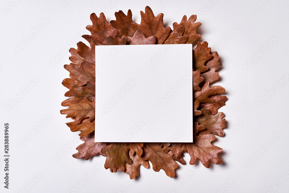 Autumn composition. Frame made of blank paper, autumn dried oak leaves on white background. Fall concept. Autumn thanksgiving texture. Flat lay, top view, copy space